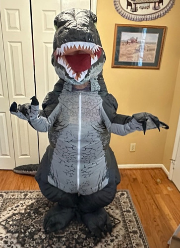 Inflatable dinosaur raptor - inflatable,